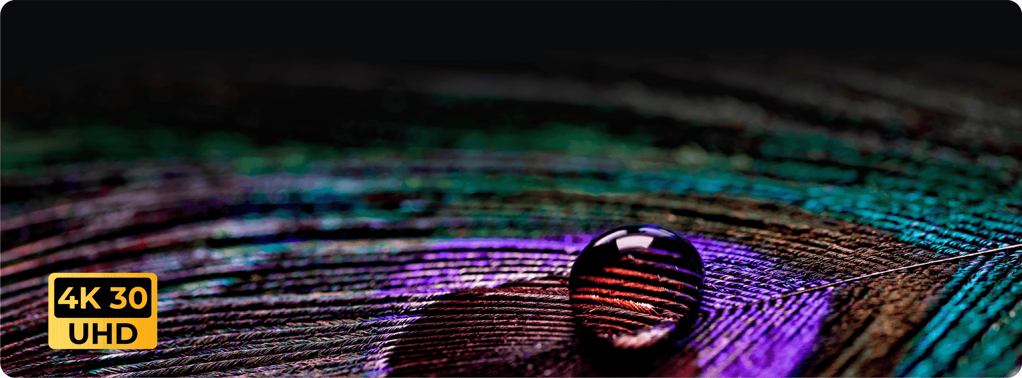 4K UItra HDImage Quality