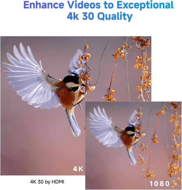 CineView SE 4K