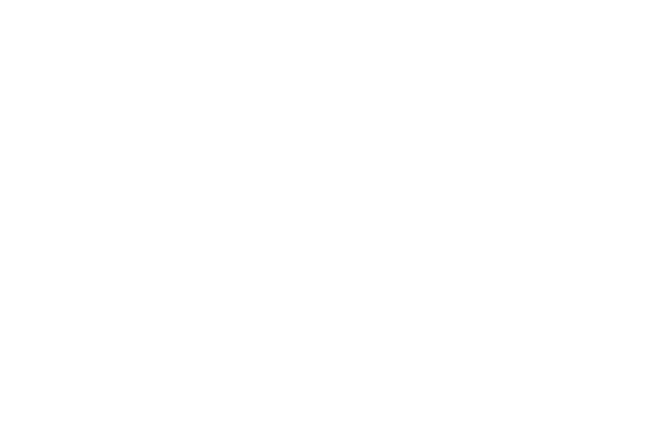 Versorgen Sie Ihr iPhone/iPad mit Strom