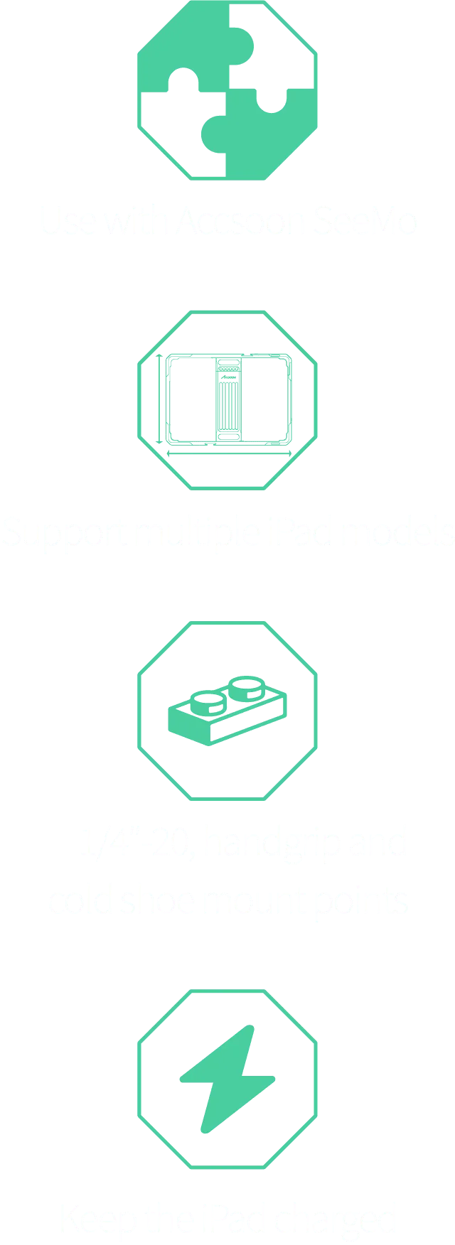 iPad PowerCage II